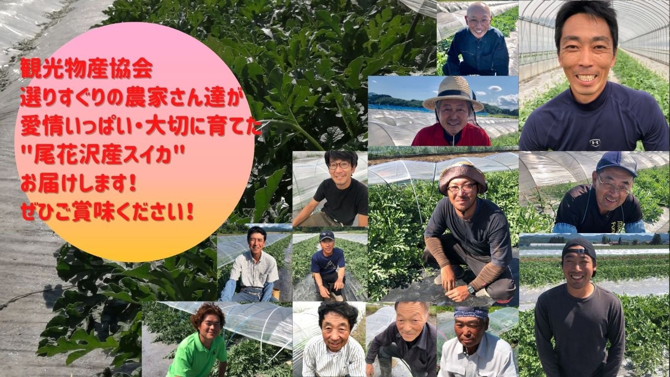 尾花沢産スイカ Lサイズ(約6～7㎏)×2玉 7月下旬～8月中旬頃発送 令和5年産 観光物産 kb-su1xx2 - 山形県尾花沢市｜ふるさとチョイス  - ふるさと納税サイト