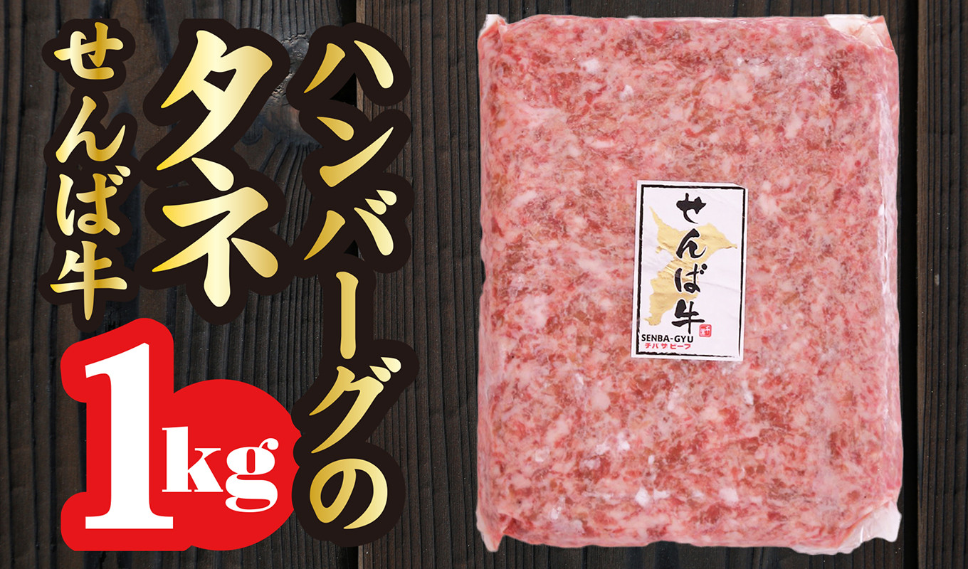 V 3 1kg ハンバーグのタネ 牛肉100 せんば 千葉 牛 たっぷり 千葉県横芝光町 ふるさと納税 ふるさとチョイス