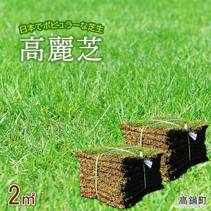 ＜高麗芝 2平方メートル＞4月下旬までに発送