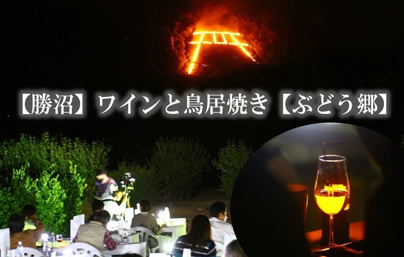 F-617．丸藤葡萄酒ワイナリー5本セット - 山梨県甲州市｜ふるさとチョイス - ふるさと納税サイト