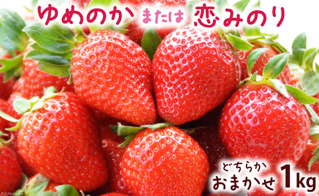 限定 いちご ゆめのか または 恋みのり 1kg 250g 4p 2022年1月 2022年2月発送 予定 長崎県南島原市 ふるさと納税 ふるさとチョイス