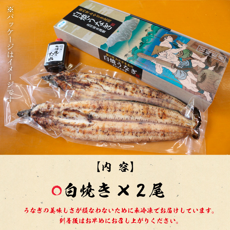 北川鰻の白焼き（2尾） N010-ZA479