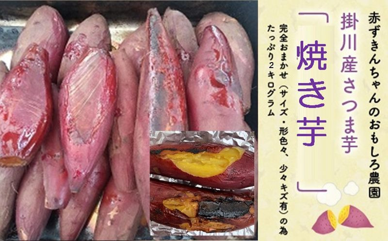 日本最大級のいちご観光農園「赤ずきんちゃんのおもしろ農園」です♪