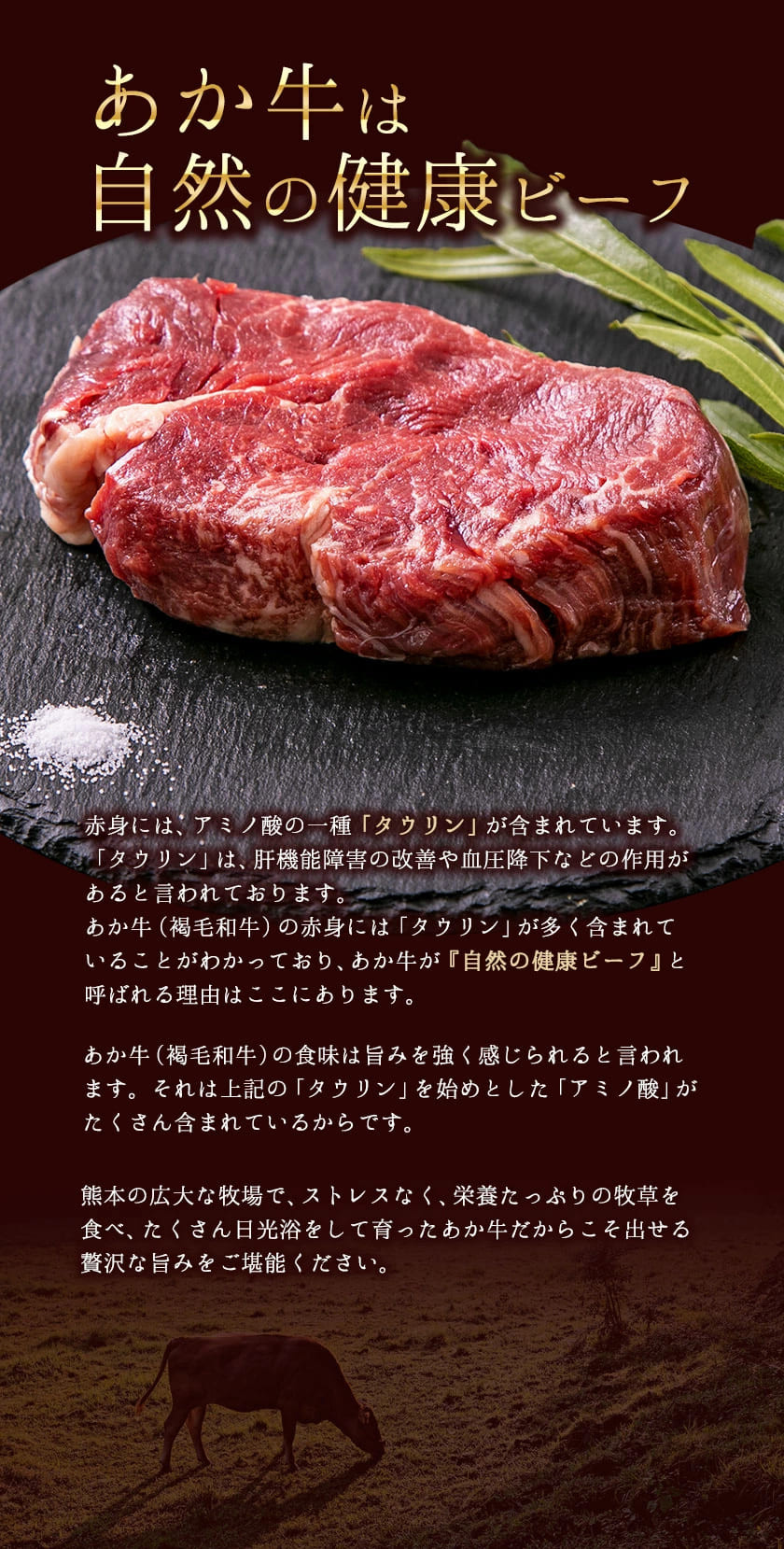 あか牛 ヒレ ステーキ 450g (150g x3) 熊本県産 和牛 肉 《60日以内に出荷予定(土日祝除く)》 冷凍庫 個別 取分け 小分け 個包装  ステーキ肉 あかうし 赤牛 あか牛丼 にも 国産 フィレ 牛ヒレ 牛ヒレステーキ 赤身