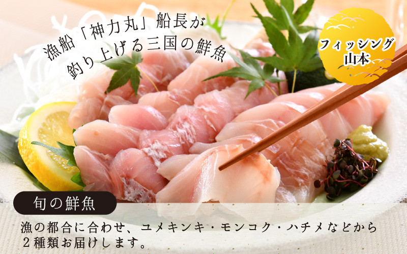 フィッシング山本の刺身