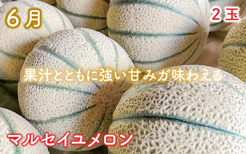 6月マルセイユメロン2玉