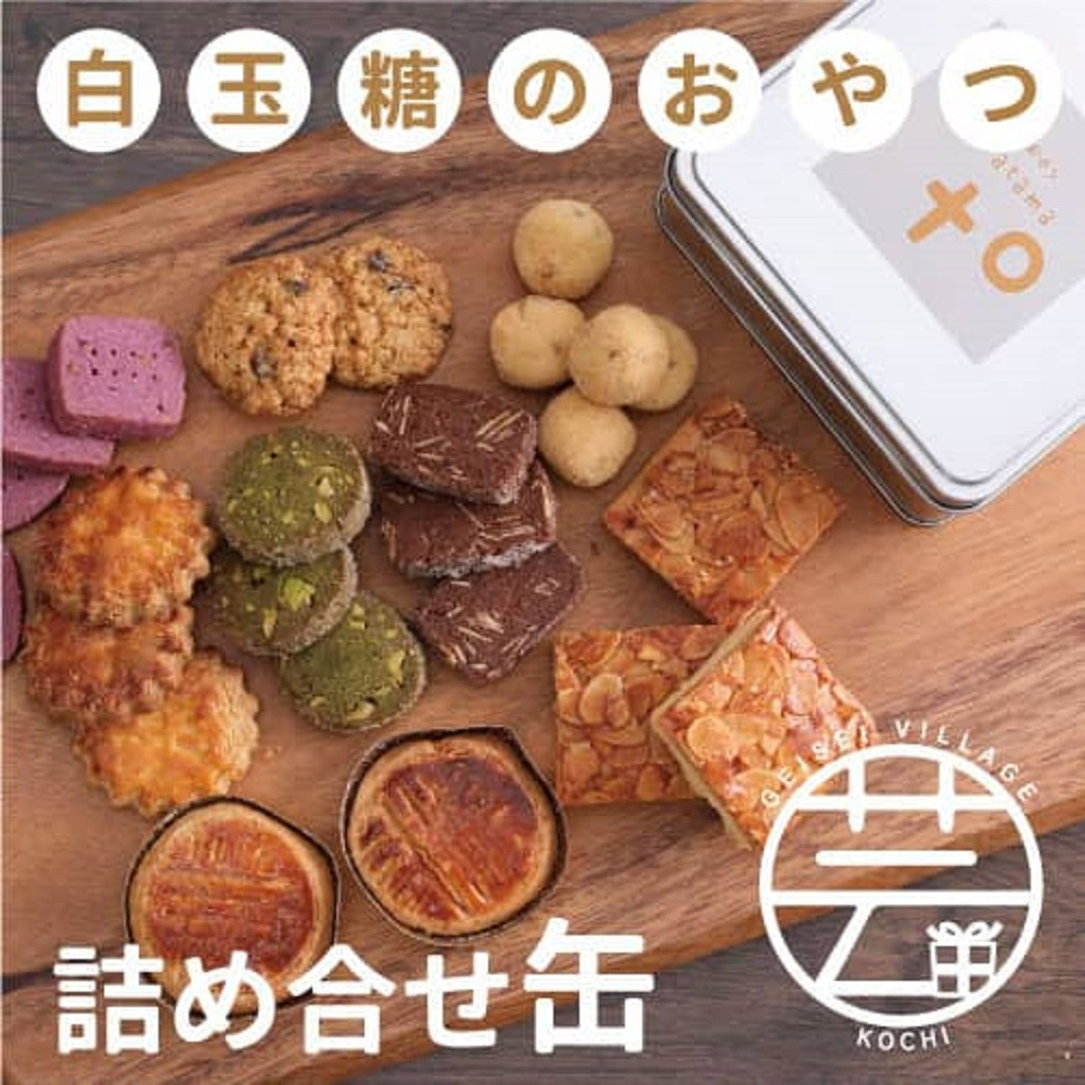 白玉糖のおやつ 詰め合せ缶 焼菓子 クッキー サブレ スノーボール フロランタン 高知県芸西村 ふるさと納税 ふるさとチョイス