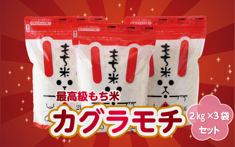 長～く伸びる高級もち米 福井県産 カグラモチ 2kg × 3袋 計6kg [A-0207