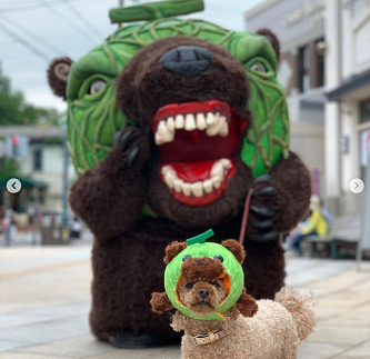 写真