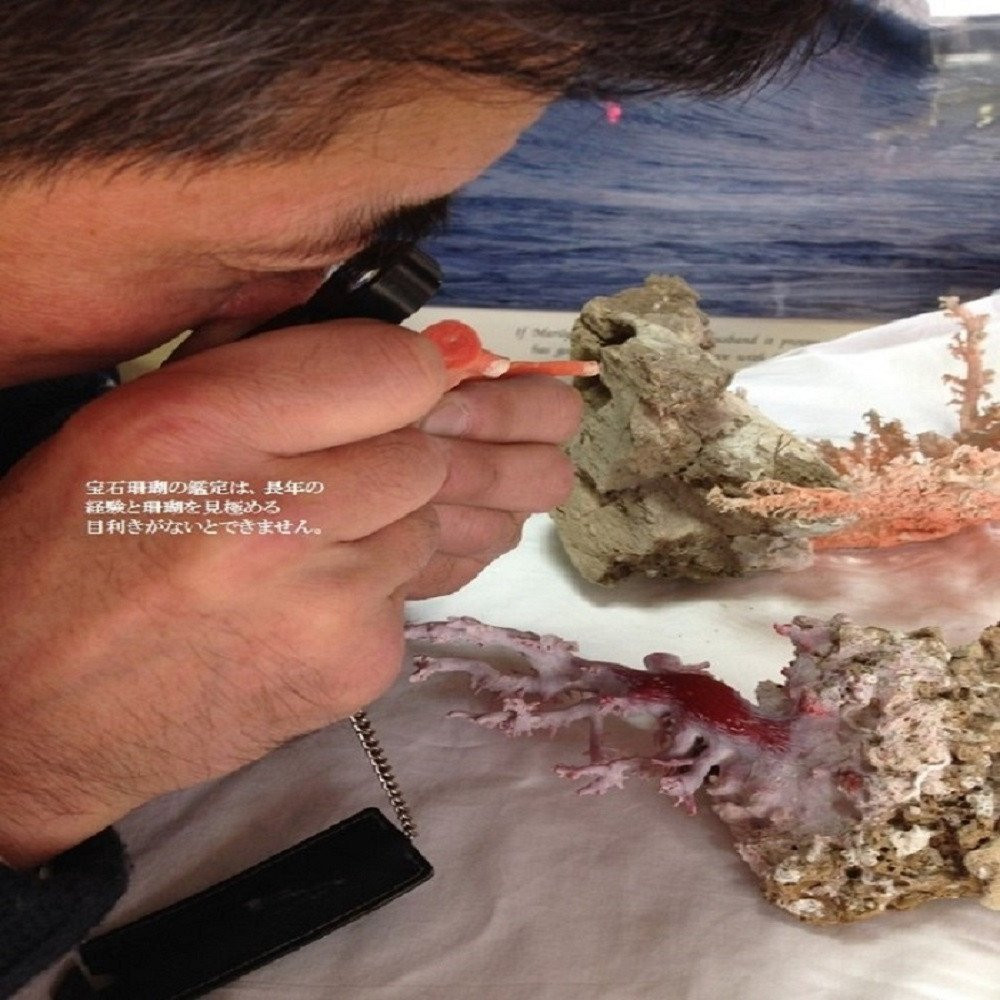 特級宝石珊瑚】Sランクの赤珊瑚丸玉 ペンダント K18チェーン - 高知県