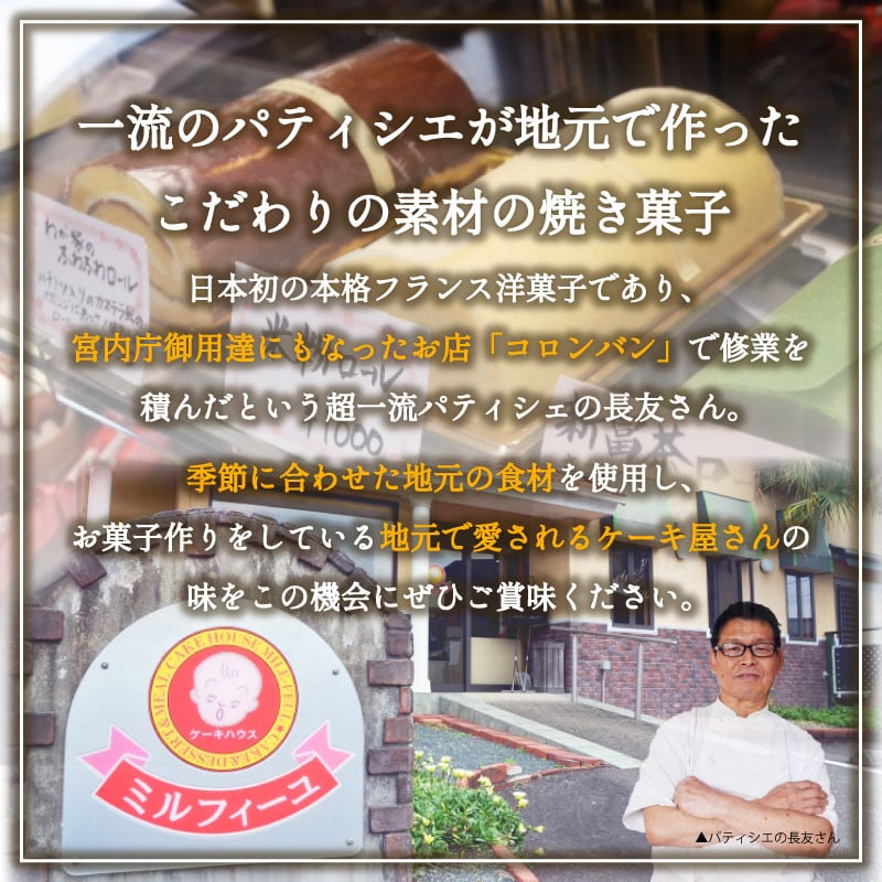 地元ケーキ屋さんの焼き菓子 10個セット 18 宮崎県新富町 ふるさと納税 ふるさとチョイス