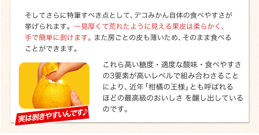 デコみかん (デコポン と同品種 不知火 ) ご家庭用 熊本県産 ( 荒尾市