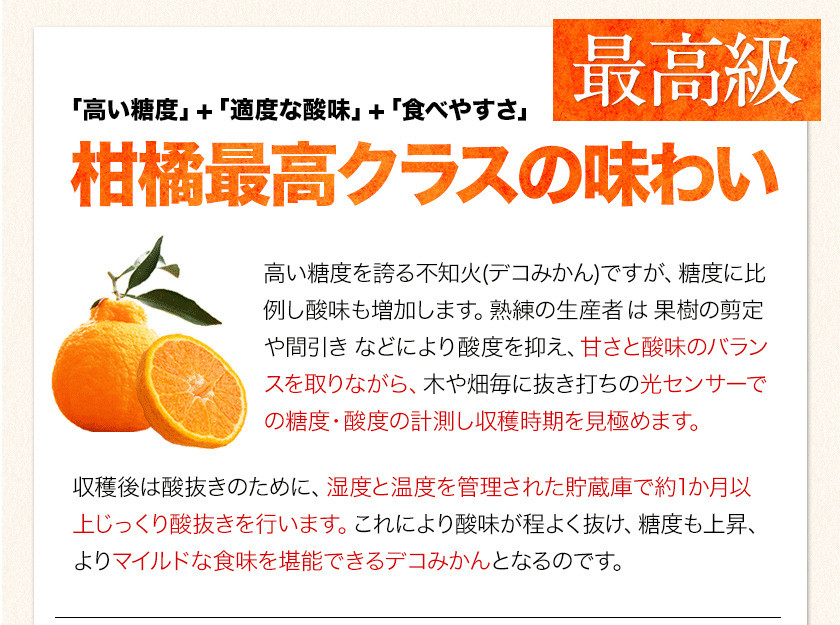 デコみかん (デコポン と同品種 不知火 ) ご家庭用 熊本県産 ( 荒尾市