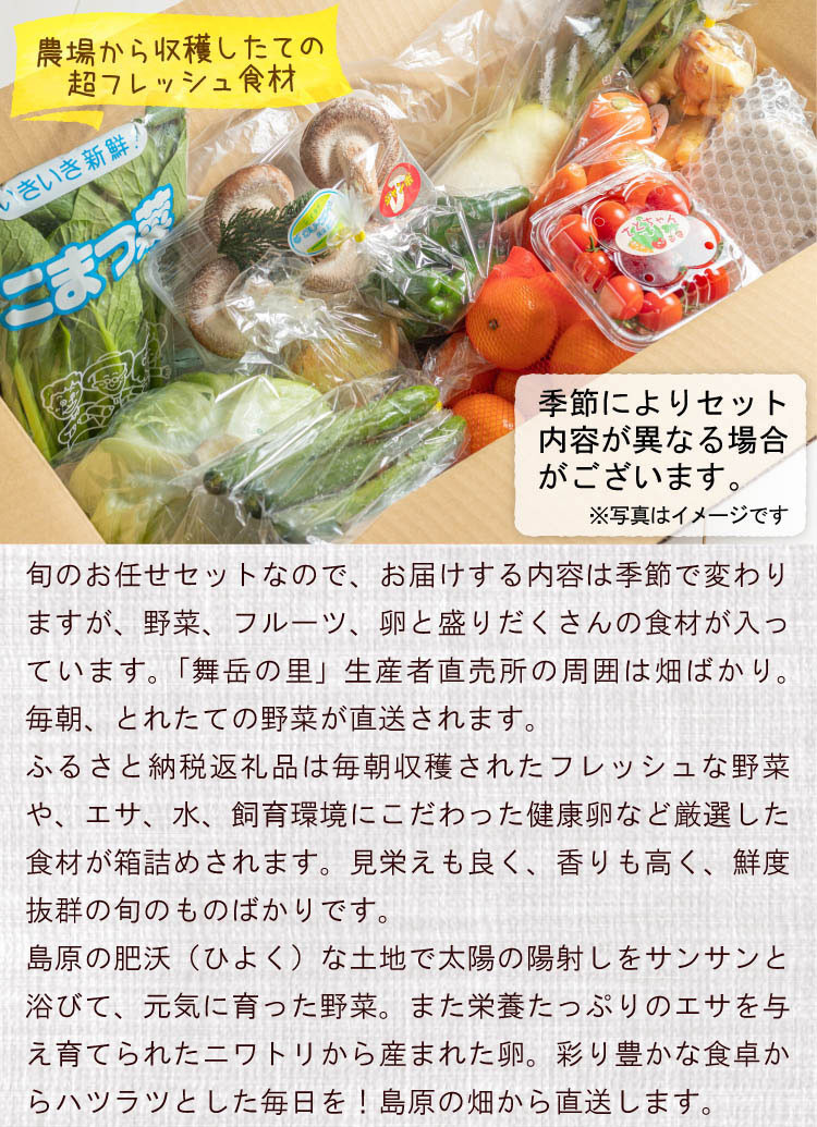 AA025野菜・フルーツ・卵 旬のお任せ Aセット - 長崎県島原市 ...