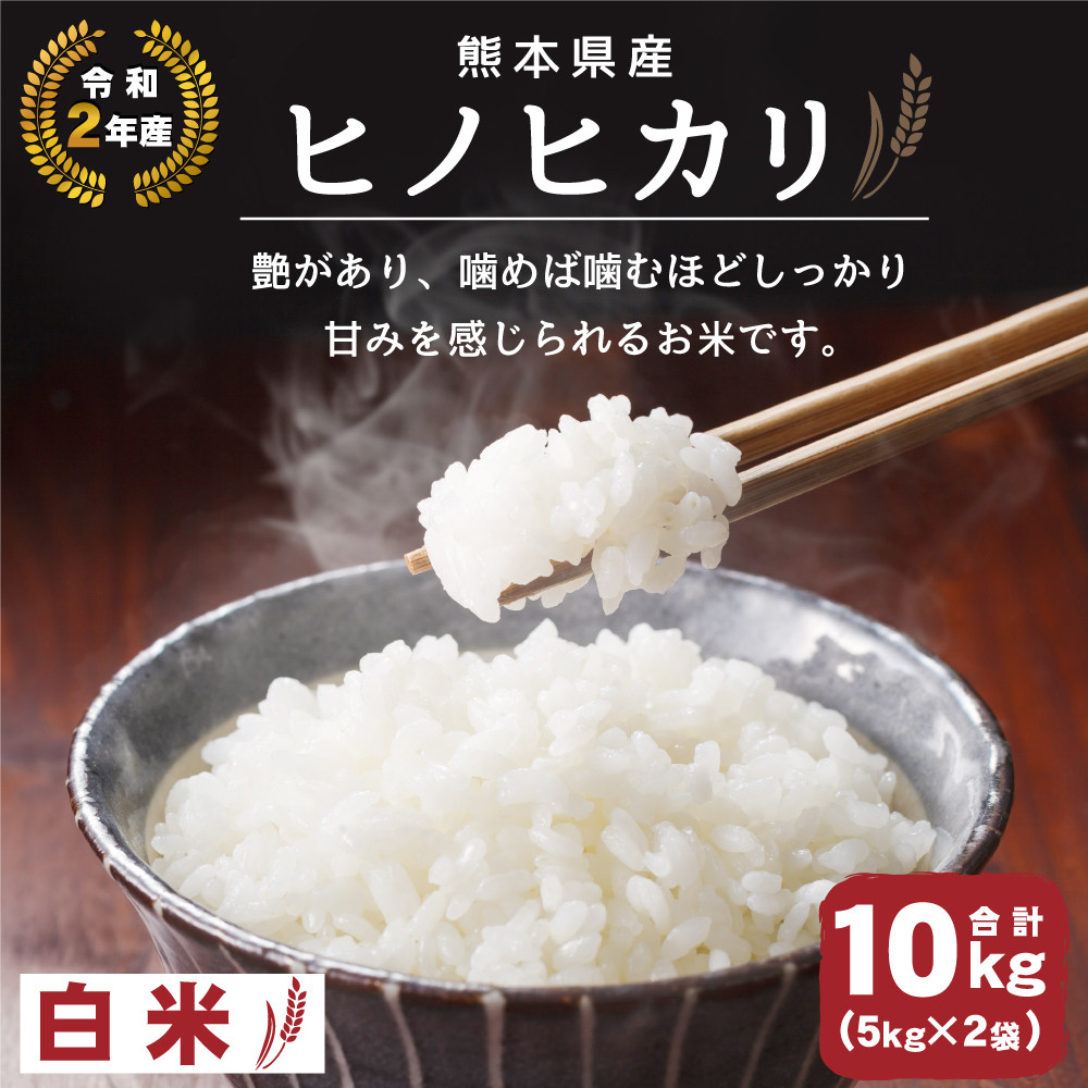 令和2年産 熊本県産 ヒノヒカリ 白米 10kg 5kg 2袋 熊本県八代市 ふるさと納税 ふるさとチョイス