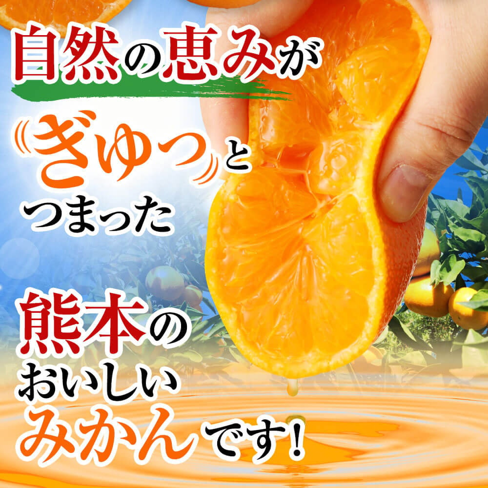 先行予約】【訳あり】熊本県産 みかん 10㎏ 果物 柑橘 - 熊本県八代市｜ふるさとチョイス - ふるさと納税サイト