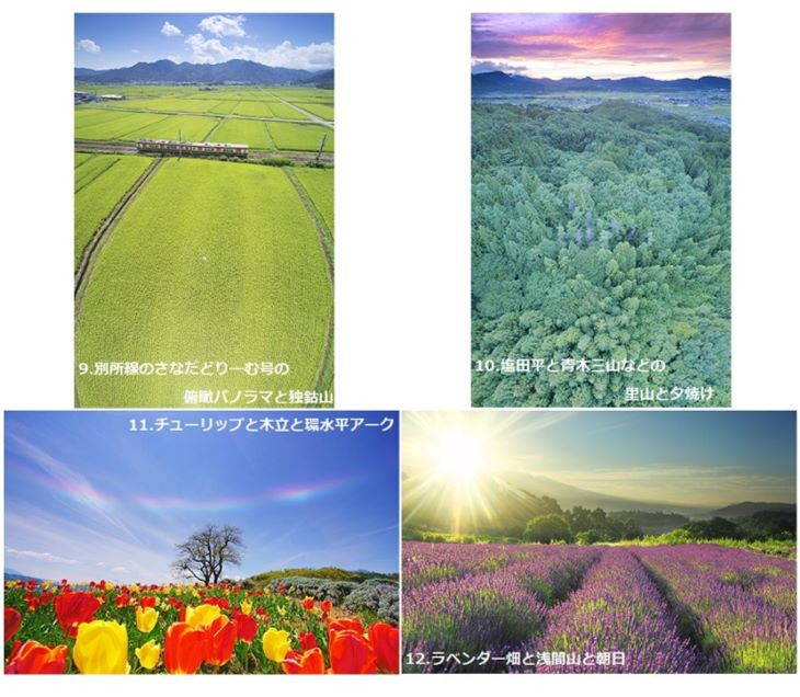 写真
