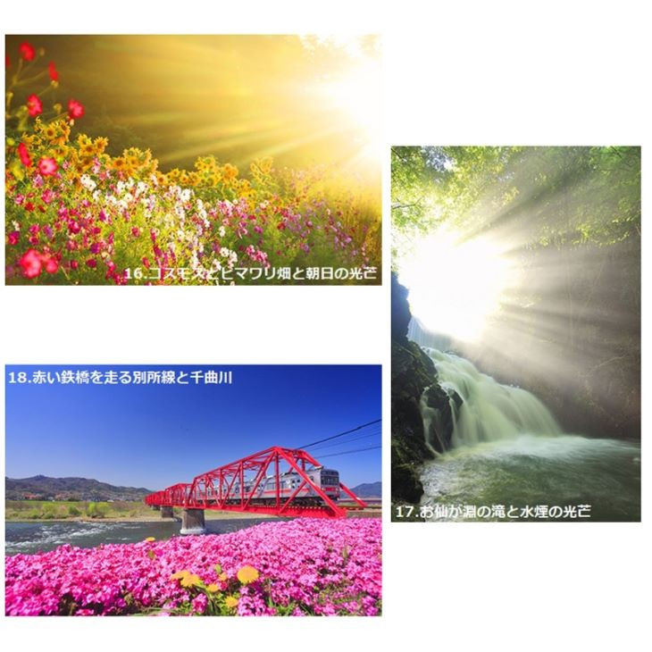 写真