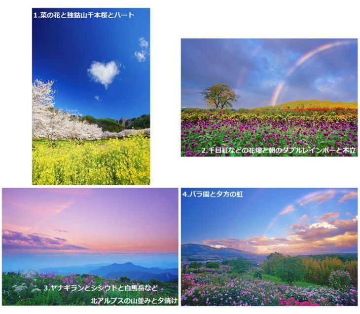 写真