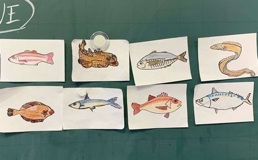 小学生がデザインした魚たち1
