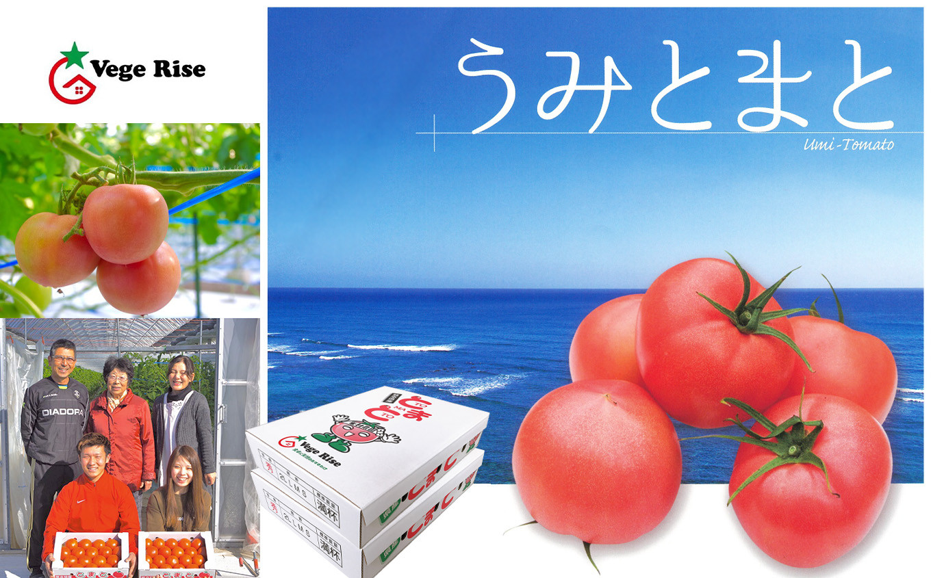 Dn2 玉名市産トマト うみとまと 8kg 4kg 2箱 熊本県玉名市 ふるさと納税 ふるさとチョイス