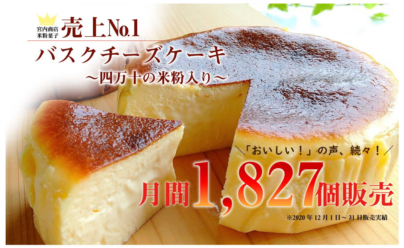 Bmu 63 バスクチーズケーキ 四万十の米粉入り 期間限定 2個セット 高知県四万十町 ふるさと納税 ふるさとチョイス