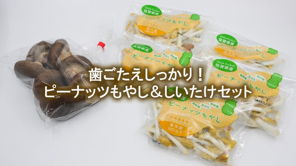 Dq002 東京もやしで有名な川﨑食品のピーナッツもやし 70ｇ 5袋 しいたけ150g 佐賀県みやき町 ふるさと納税 ふるさとチョイス