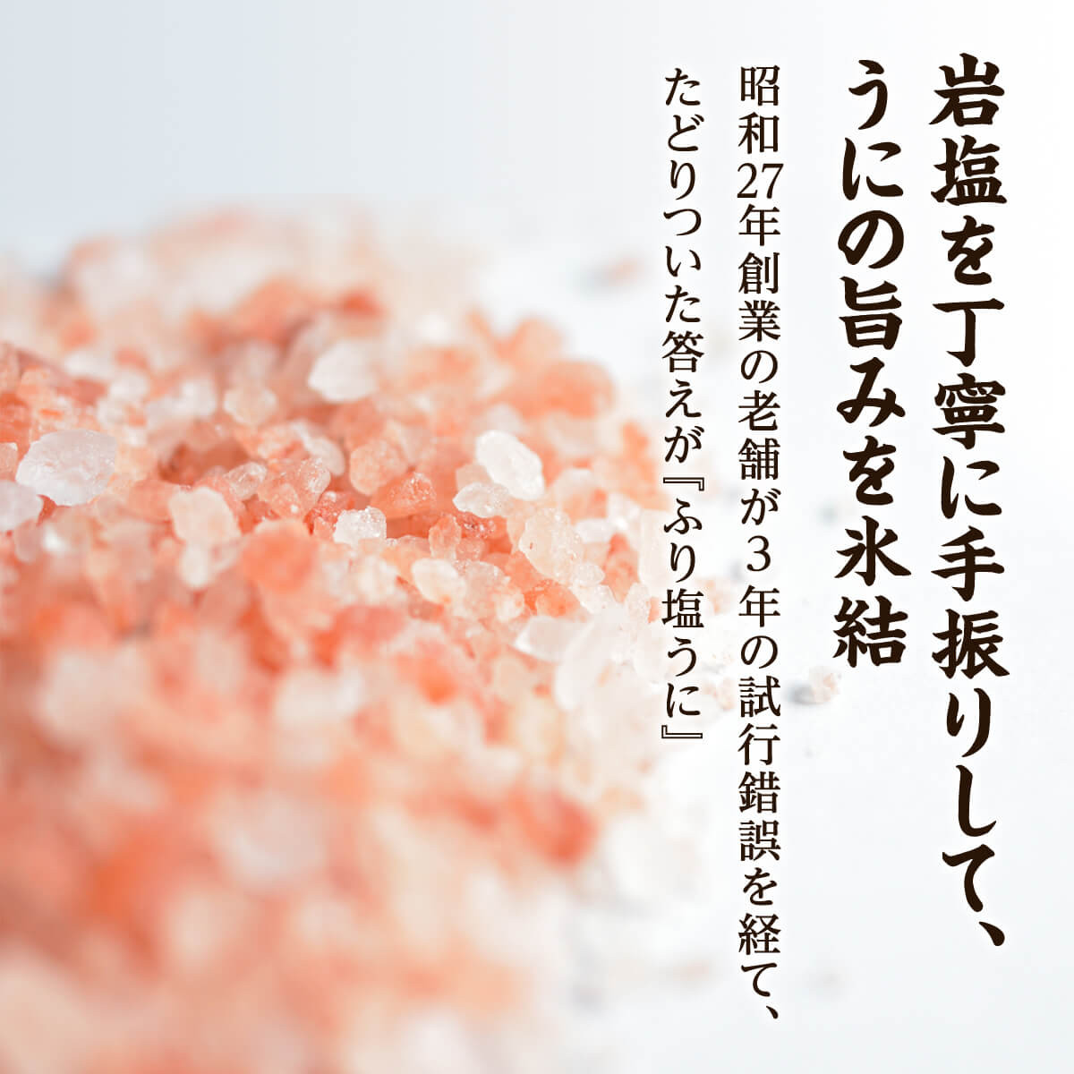 水揚げ分のみ 北海道産天然キタムラサキウニで作った ふり塩うに 100g 数量限定 北海道鹿部町 ふるさと納税 ふるさとチョイス