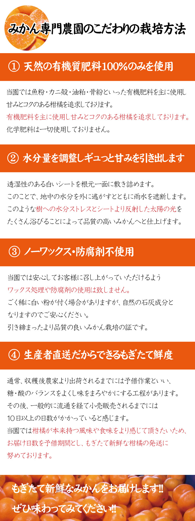 2023年11月発送予約分】＼光センサー選別／ 【農家直送】こだわりの