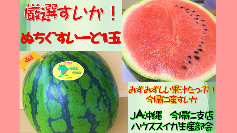 【JAおきなわ】【限定200玉】厳選すいか！ぬちぐすいーと　大玉７㎏以上【2024年4月～5月頃　発送】