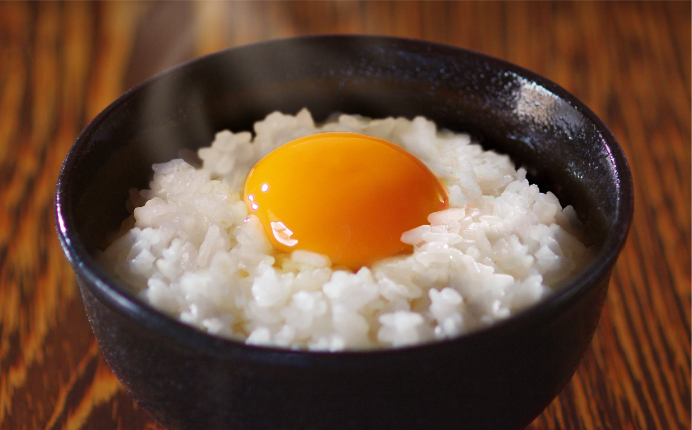 １９３０年創業 宮本養鶏の安心 安全な 名古屋コーチン ２０個入り 千葉県館山市 ふるさと納税 ふるさとチョイス