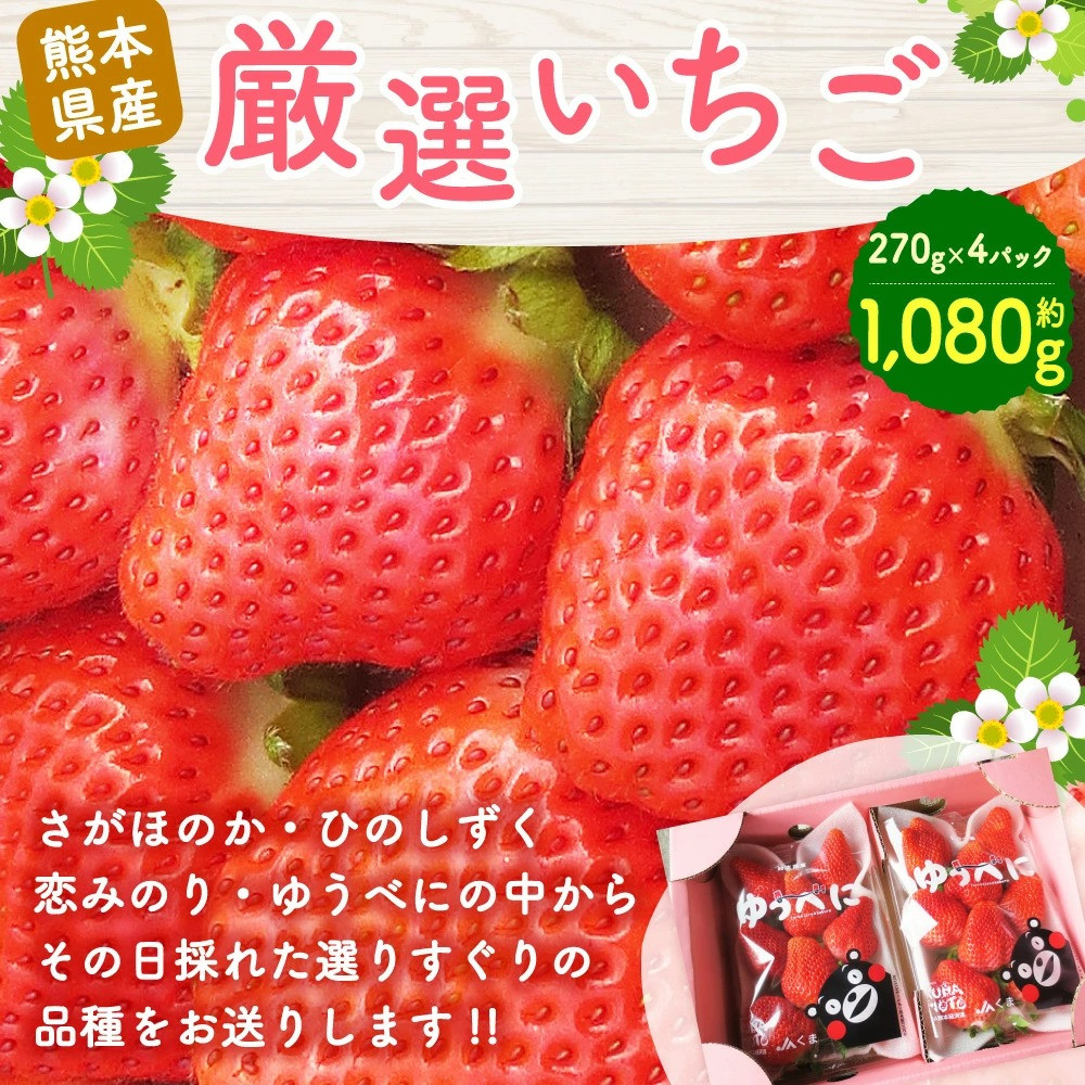 いちご 約1 080g 270g 4 さがほのか ひのしずく 恋みのり ゆうべに 熊本県多良木町 ふるさと納税 ふるさとチョイス