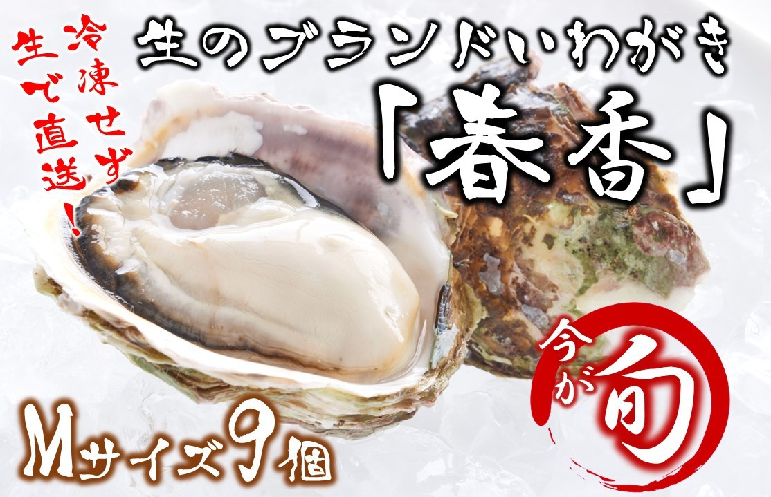 期間限定 生のいわがき 春香 Mサイズ9個 5月23日まで 島根県海士町 ふるさと納税 ふるさとチョイス
