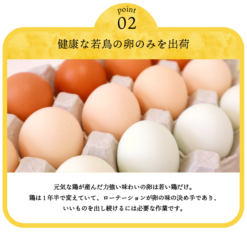 大人気定番商品 卵 たまご 旨味 ピンク玉 80個 一等賞 受賞 新鮮 こだわり卵 TKG 朝食 夕食 夜食 忍野村 山梨県産 送料無料※沖縄県  離島不可 fucoa.cl