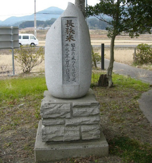 長狭米は日本の米づくり百選にも選ばれました。