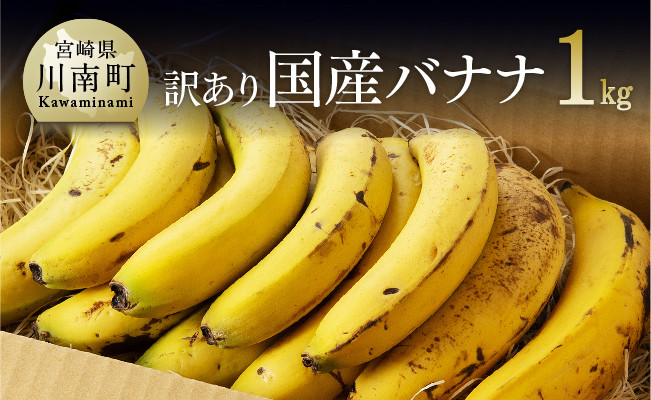 大人気！沖縄県産 アップルバナナ 無農薬 1kg