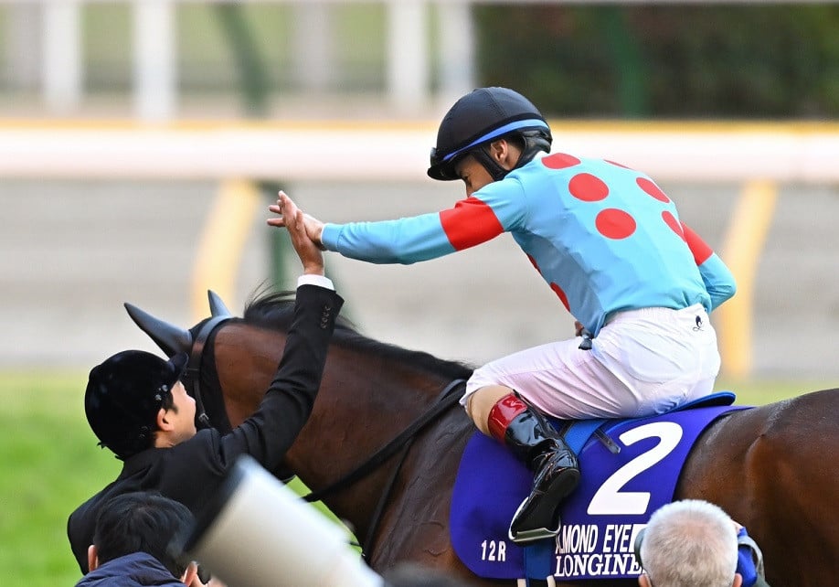 JRA 競馬 勝負服 社台レース 安田厩舎 ルメール騎手サインか 中古品 ...