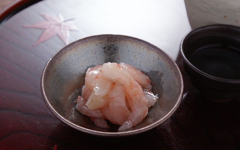 越前甘えび昆布〆