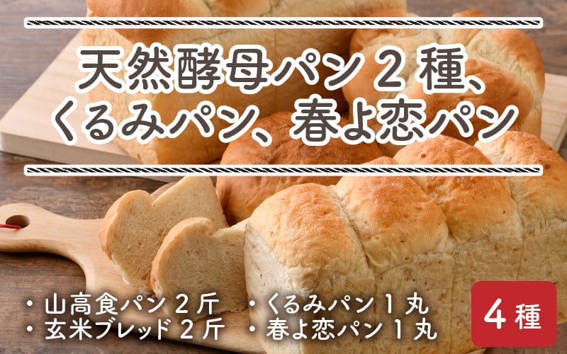 031 A009 天然酵母パン2種 山高食パン 玄米ブレッド くるみパン 春よ恋パン 福井県敦賀市 ふるさと納税 ふるさとチョイス