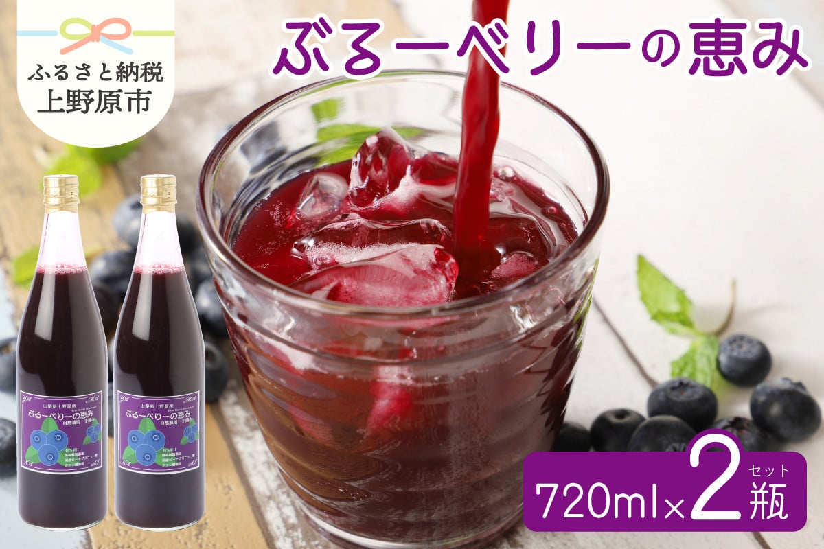 無添加ブルーベリージュース「ブルーベリーの恵み」720ml×2瓶 - 山梨県上野原市｜ふるさとチョイス - ふるさと納税サイト