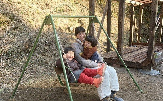 1195 ツヨニーの家庭用ブランコ 2人乗りワイド 高知県黒潮町 ふるさと納税 ふるさとチョイス