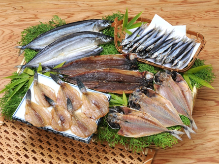 (2便)海の幸「九鬼ひものバラエティー」5品