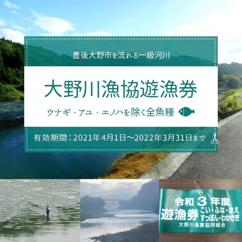 024 260 大野川漁協遊漁券 ウナギ アユ エノハを除く全魚種 大分県豊後大野市 ふるさと納税 ふるさとチョイス