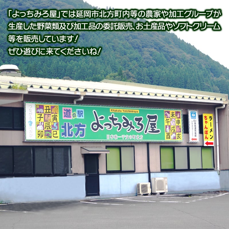 延岡市北方町産 不知火 しらぬい 5kg A039 宮崎県延岡市 ふるさと納税 ふるさとチョイス