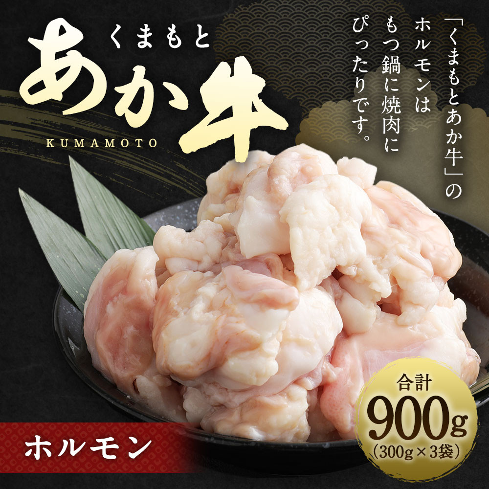 くまもと あか牛 ホルモン 300g×3袋 計 900g 焼肉 もつ鍋 - 熊本県水俣市｜ふるさとチョイス - ふるさと納税サイト