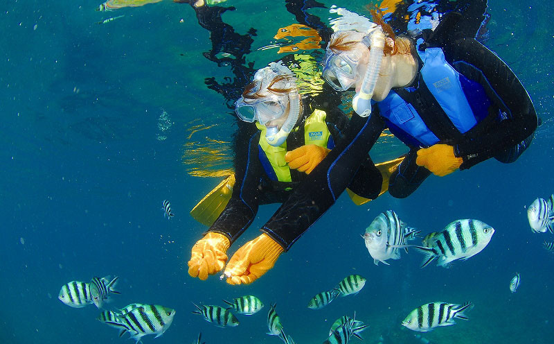 写真