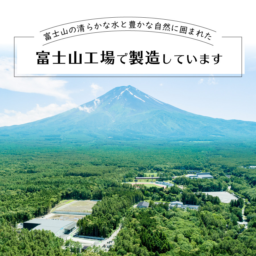 富士吉田限定 バナジウム強炭酸水 Pet500ml 2箱 48本入 友桝飲料 山梨県富士吉田市 ふるさと納税 ふるさとチョイス