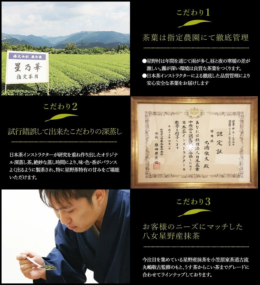 八女星野 深蒸し茶100g 3本詰め 合計300g セット 緑茶 茶葉 - 福岡県嘉