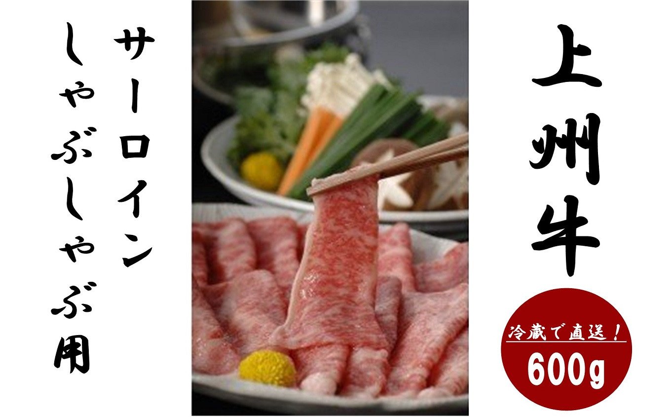 上州牛サーロイン600g しゃぶしゃぶ用 冷蔵で直送 B 13 群馬県玉村町 ふるさと納税 ふるさとチョイス