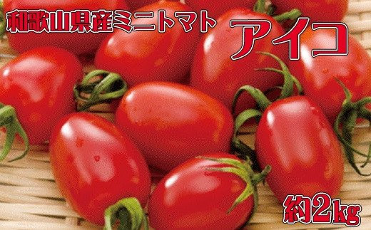 和歌山産ミニトマト「アイコトマト」約2kg（S・Mサイズおまかせ
